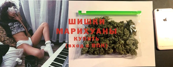 шишки Аркадак