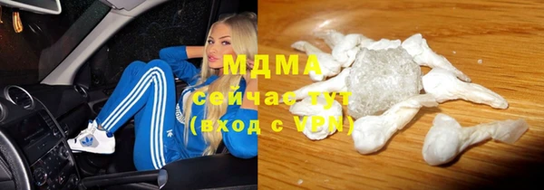 индика Арсеньев
