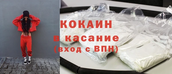 индика Арсеньев