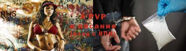 шишки Аркадак