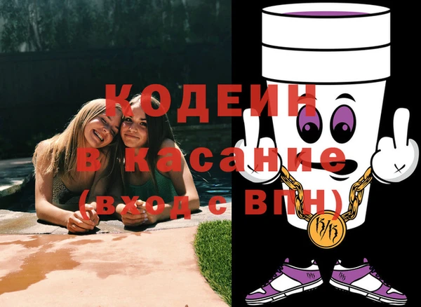 шишки Аркадак