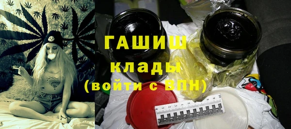 индика Арсеньев