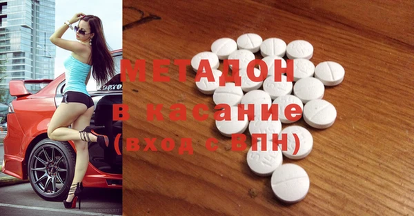 индика Арсеньев