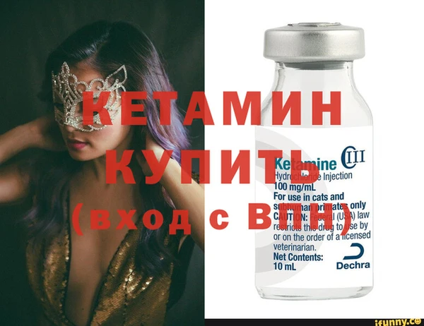 шишки Аркадак