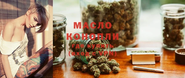 индика Арсеньев
