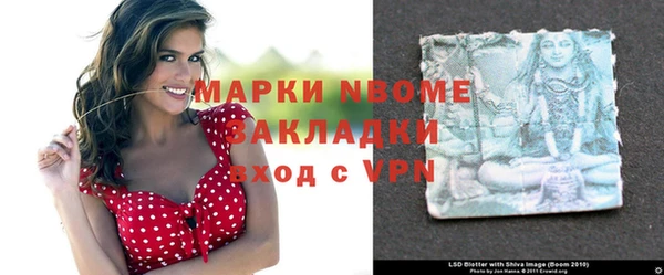 индика Арсеньев