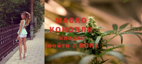индика Арсеньев