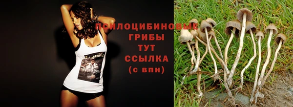 индика Арсеньев