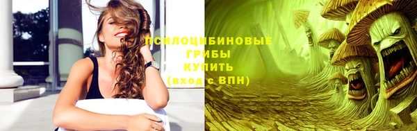 шишки Аркадак