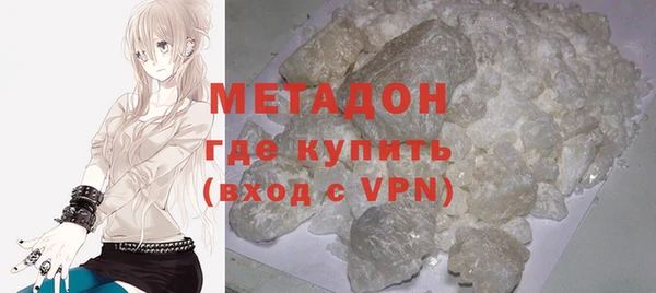 индика Арсеньев