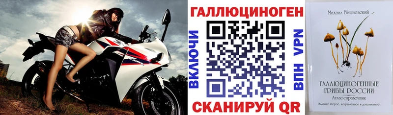 Псилоцибиновые грибы мицелий  наркотики  Судогда 